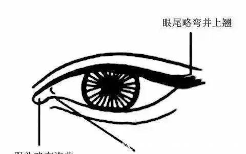 眼睛!因桃花眼出圈的9位男星,仿佛小说成精,看谁都深情