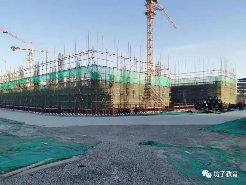 起步就是冲刺！坊子区学校建设项目全面复工！|教育动态 | a743