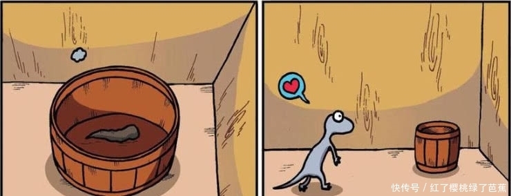 爆笑农场：呆头和小壁虎都有相同的爱好？乌龟和人的区别？