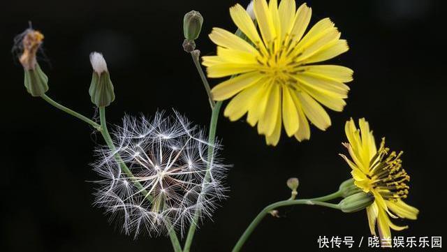 甲状腺|一旦查出甲状腺结节，请主动拒绝“发物”，结节或会自行消散