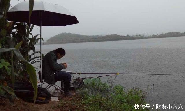 春季下雨钓鱼攻略,小鱼少大鱼多,靠岸觅食吃口狂