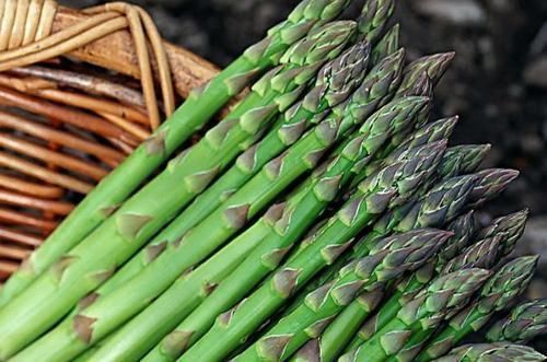 营养成分|会吃的人最健康,以下肉类要多吃,营养丰富,温中益气,补虚填精