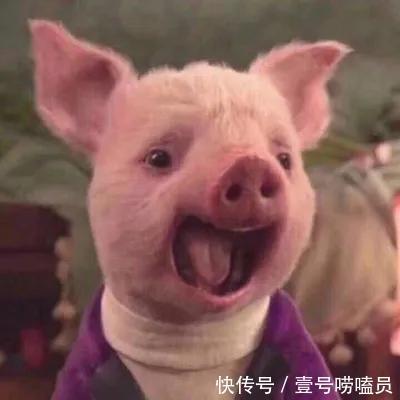 |看一遍,笑一遍的笑话您看过吗