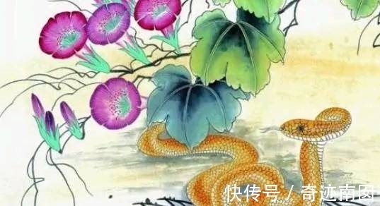 大生肖|8月下半年，好运降临，事事都顺利，顺风顺水的3大生肖