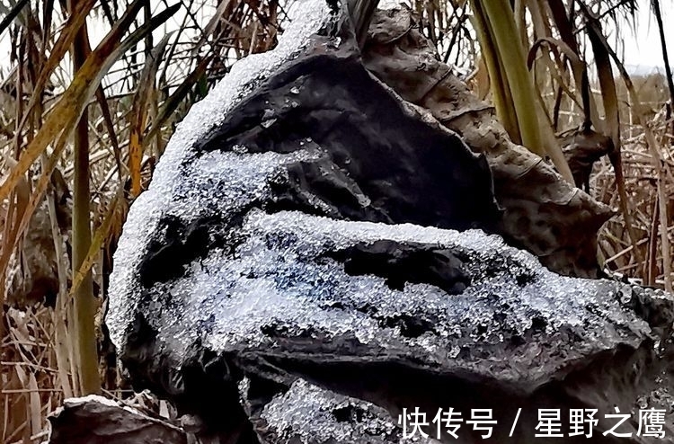 寒潮@初冬小雪连,情怀吟诗篇(诗词九首)