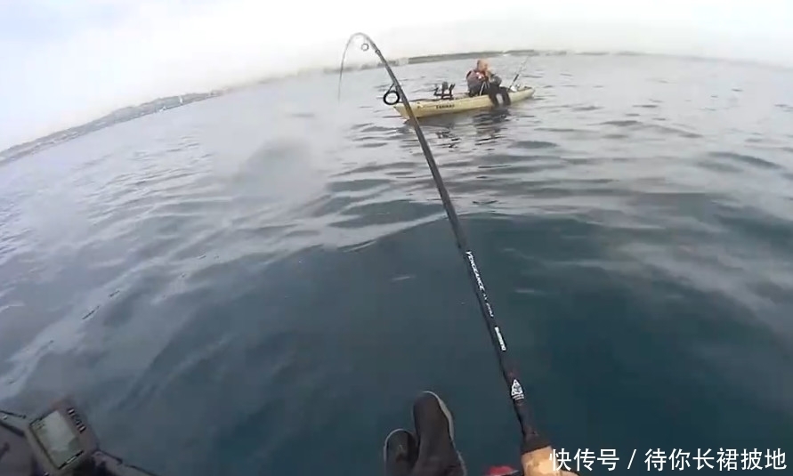  没想到|男子钓鱼时沉醉于美景，没想到收获这样的喜人大家伙！