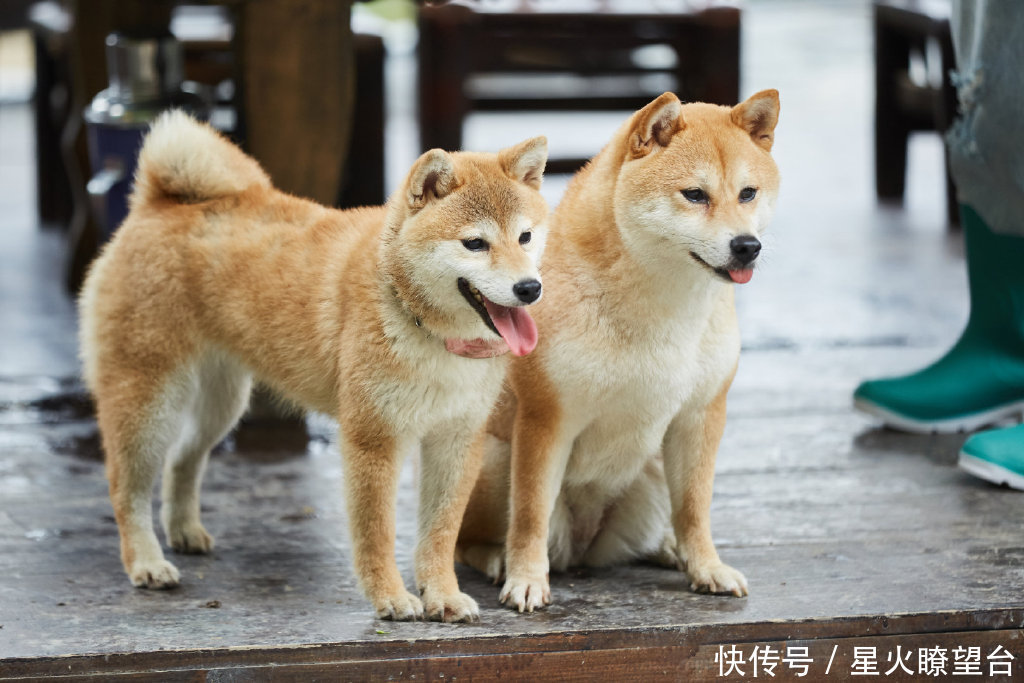 这部“慢综艺”，满含人间烟火气！