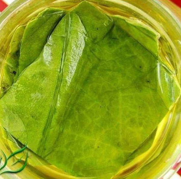 脾虚腹泻|湿气重的人,秋天多吃6种“天然祛湿”食物,排湿除毒百病消