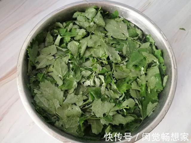 老化会|人没老,腿先老!路边的“天然钙库”,补钙比鸡蛋强太多,还免费