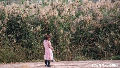 不吃|十八岁的姑娘父母早故，孤身一人住芦苇荡十年，不吃“嗟来之食”