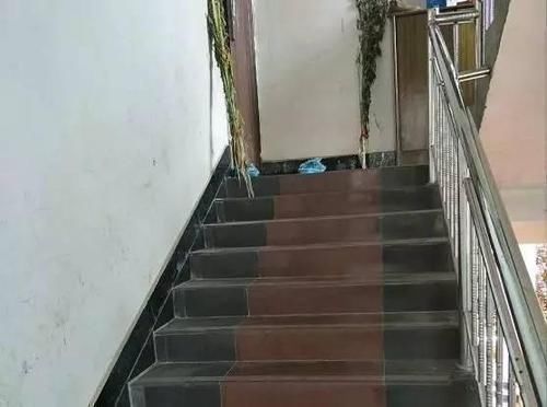 罗马柱|去男友乡下老家,他说的茅草房原来是别墅,感觉自己赚翻了