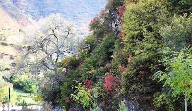 武山:探秘神奇四门 感受别样的美