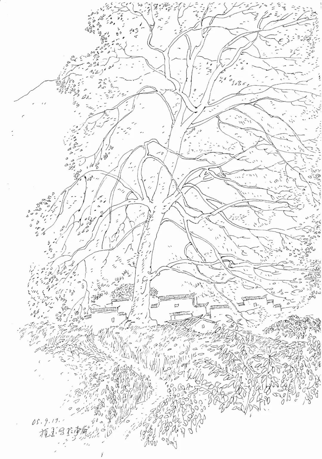 美术$山西大学美院教授,韩植墨素描与速写