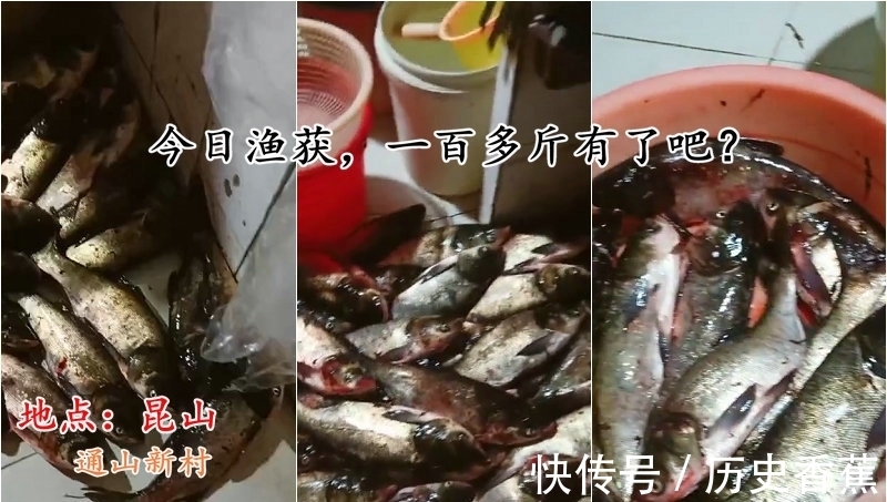 射鱼|江苏男子一天射鱼上百斤,网友热议:锚鱼已明确入刑,射鱼呢?