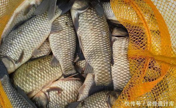 七星漂|民间冬钓鲫鱼野路子:鲜为人知的弹钓钓法,非常有特色