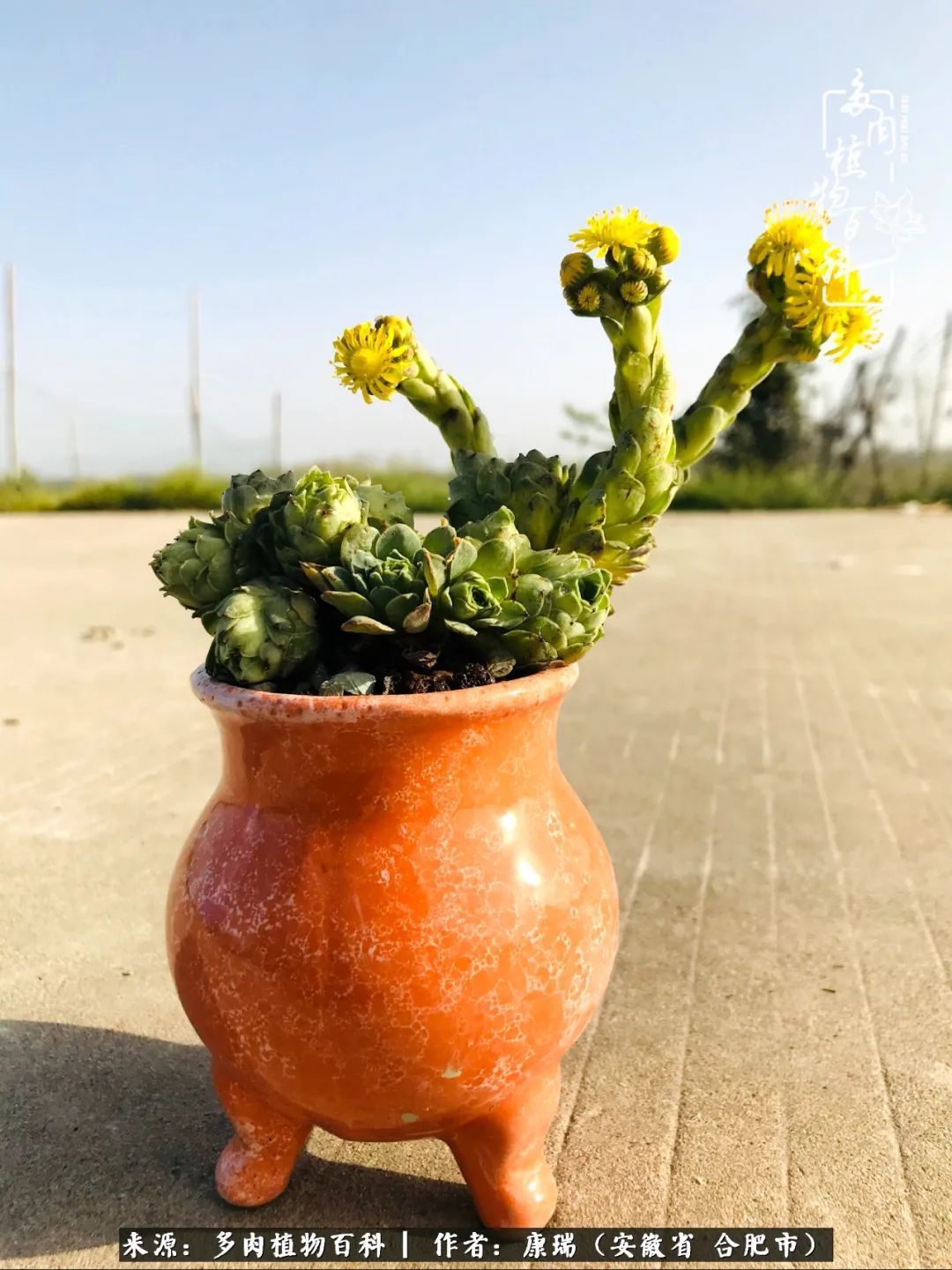 养肉之路，道阻且长，累的是身体，净的是心灵！