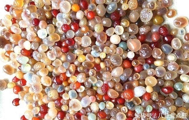 看到别人捡的石头才知道差距有多大了