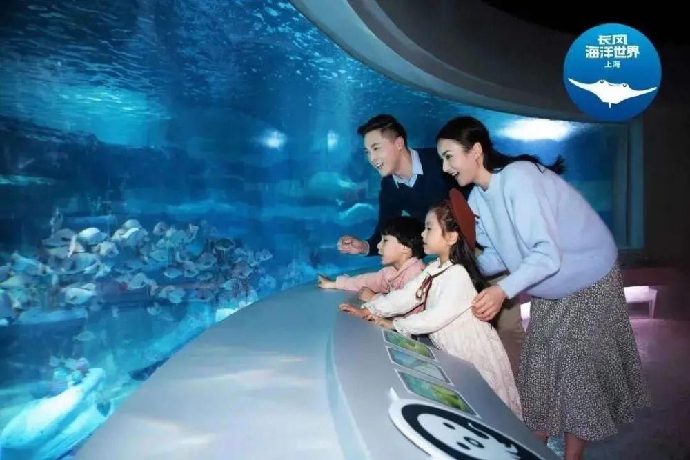 中年|滑冰、野餐、游园……小编带你一站式游玩！