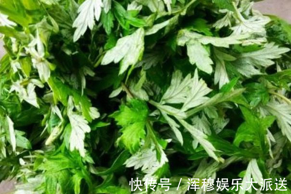 一个月|农村此草遍地都是，拿来洗头，坚持一个月，好处不请自来