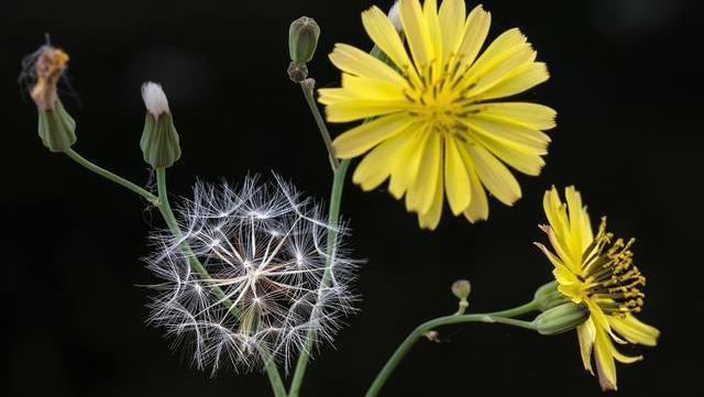 结节|甲状腺有结节避开2诱因,常喝2水,多吃2物,结节或慢慢变好