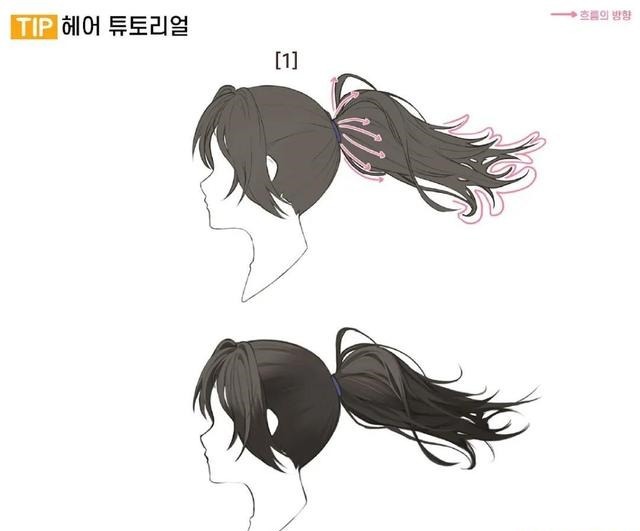 绘画 「绘画素材」多种人物发型画法参考!告别呆板发型~!