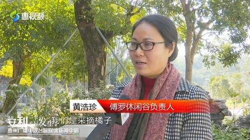 【沿着公路看惠州】罗阳：乡村产业从无到有 农旅融合带动“美丽经济”