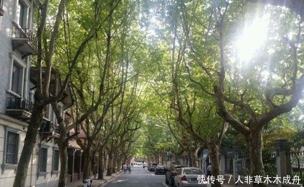 程度|孙中山故居与张春桥旧居，一个豪华程度堪比城堡，一个仅仅60多平方米