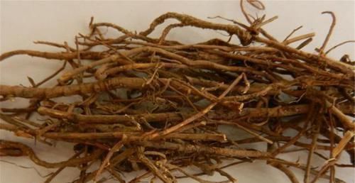 金银花|肝不好的人,记住多喝3水,少吃1物,肝病会悄悄溜走