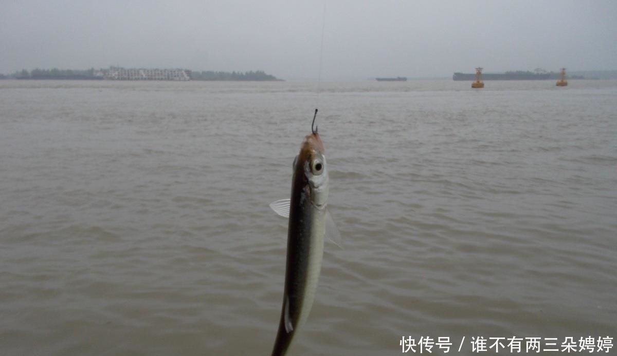 铅皮座|为什么别人钓鱼子线很少缠绕,而你却经常发生?这6个方面是关键