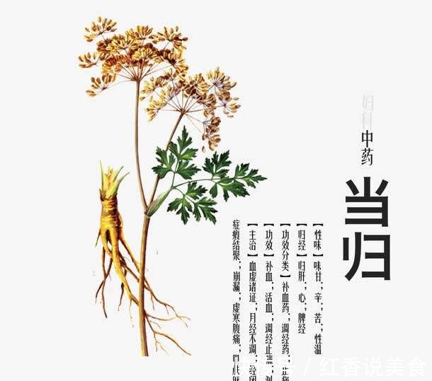 补血|补血最好的一味药,十个妇科方子九个有它,女人的宝贝药!