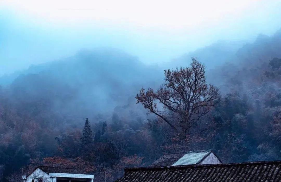 临海竹家山村，带着“隐世”气质的小山村