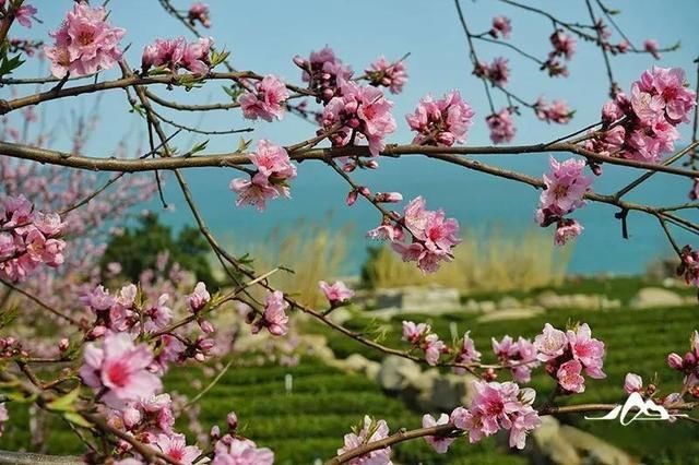 史话崂山丨寻汉武求仙之路，觅崂山古来之道