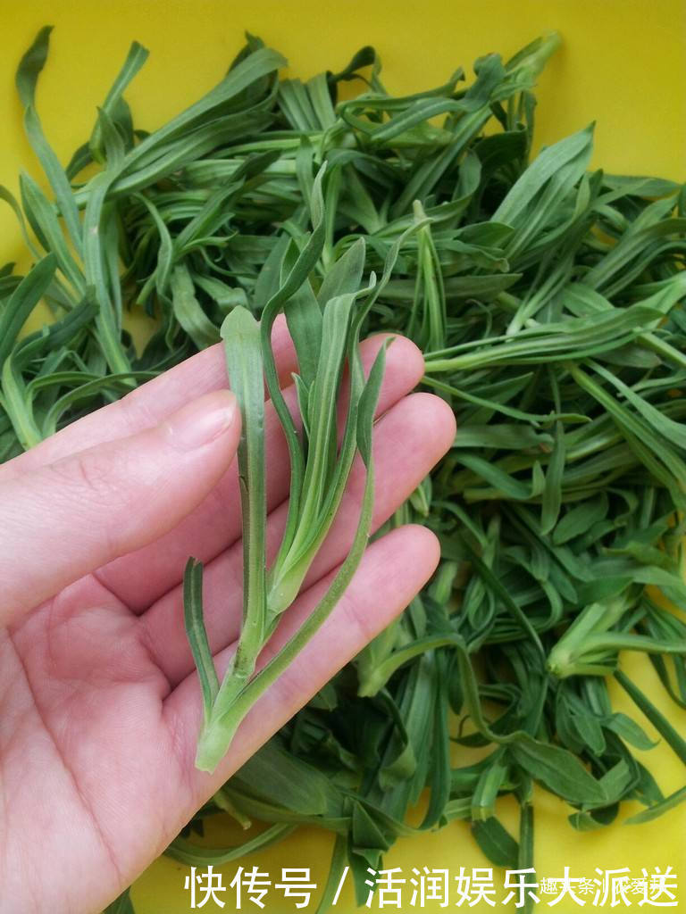 它面条菜|这样一种野菜它的味道很鲜美,名字却很奇怪,深受城里人推崇!