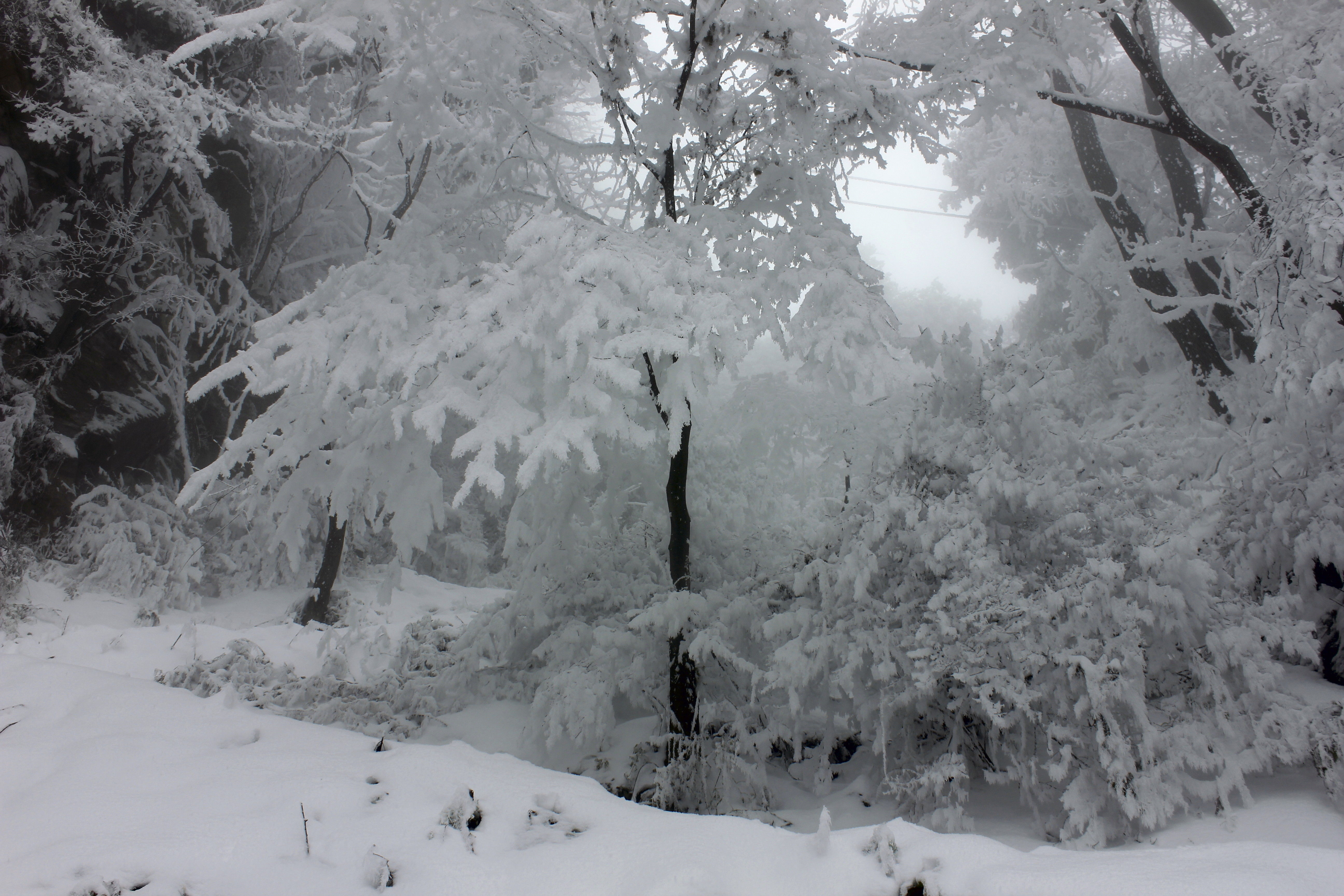 征集|【年末福利征集】雪后南五台幸遇云海