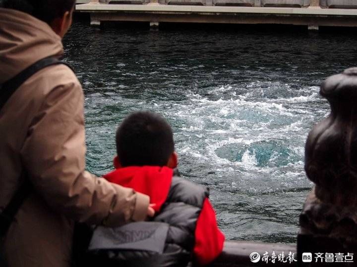 水势|早春济南趵突泉实拍，水位五天下降了10厘米！但整体水势良好