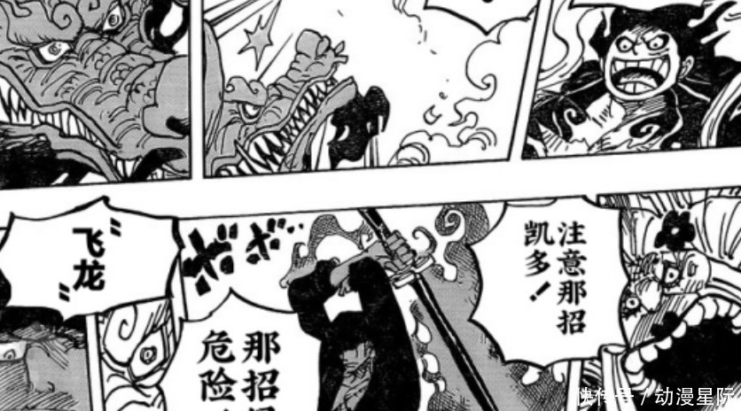 海贼王1002话解读:索隆的弱点暴露了,大妈变成跳梁小丑