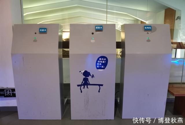 海船|长24米的宋代海船,出土时惊艳了全中国,现藏唐朝古寺里