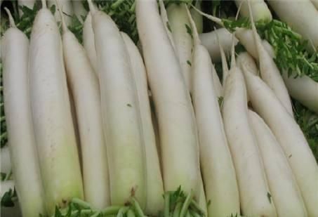 面黃肌|白蘿卜有去除膻味的作用，和它一起吃開胃健脾，補腎壯陽