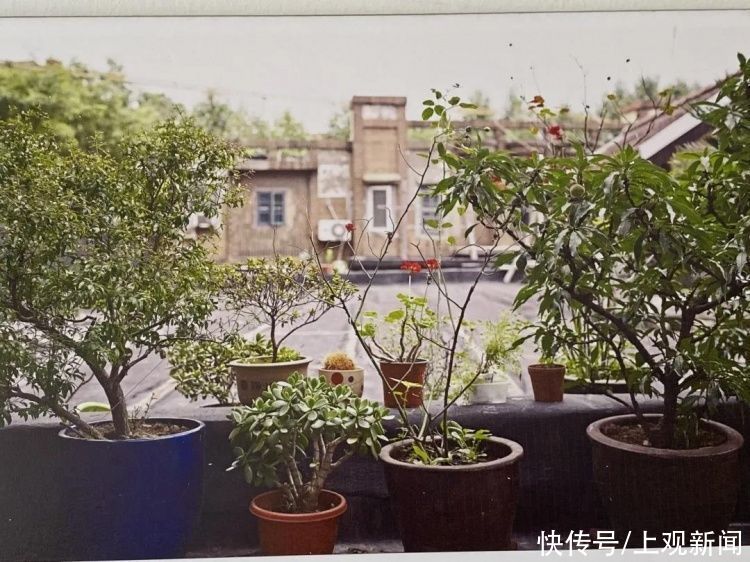 老年|“老克勒”和潮人都爱逛!这条1公里出头的街,居然一下午都逛不完