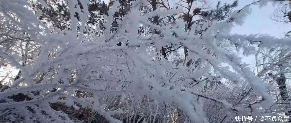 难得一见：冬至这天，承德避暑山庄热河泉边出现奇特雾凇景观