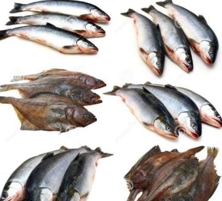 常吃|“常吃鱼,易长寿”,但是3个部位不能吃,2类鱼不建议吃,勿忽视