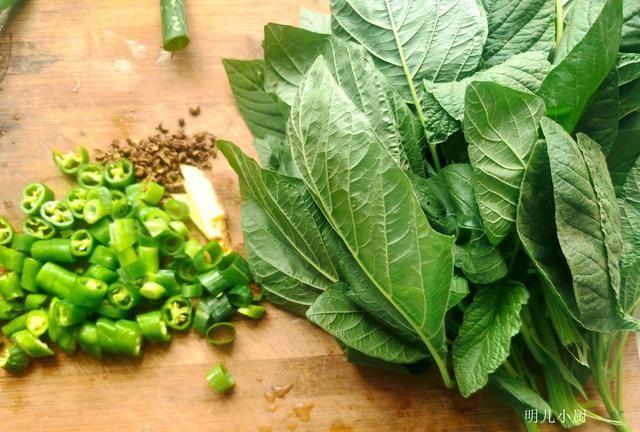 地頭|六月這野菜正當時,清熱去火比吃藥強,田間地頭到處都是,別錯過