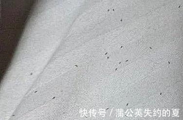 宝宝|奇闻:宝宝全身起小疙瘩,妈妈翻起床垫,看到画面,女子欲吐