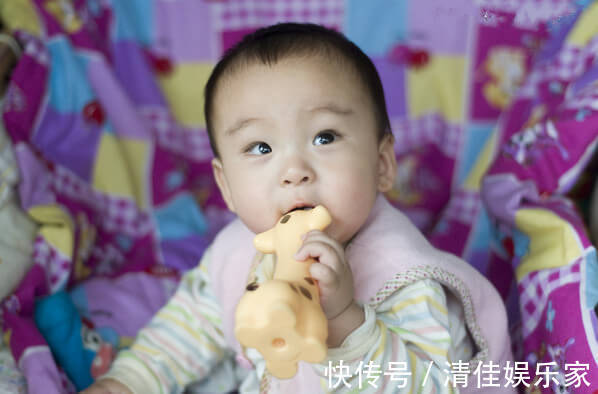 小幼苗|哈佛研究表明孩子一生只有3次大脑发育高峰期，错过会很遗憾