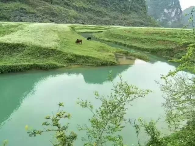 又到一年相约更望湖时节