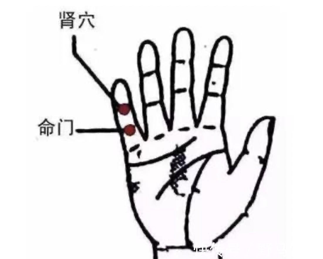 妙招|身体有这几大症状说明你可能肾虚了中医教你八大养生妙招