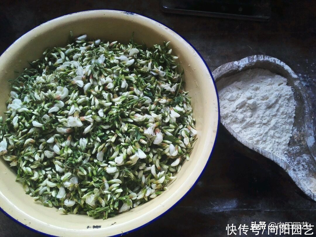 槐树芽不能吃，槐树花可以吃，不要盲目食用野草，危害很大