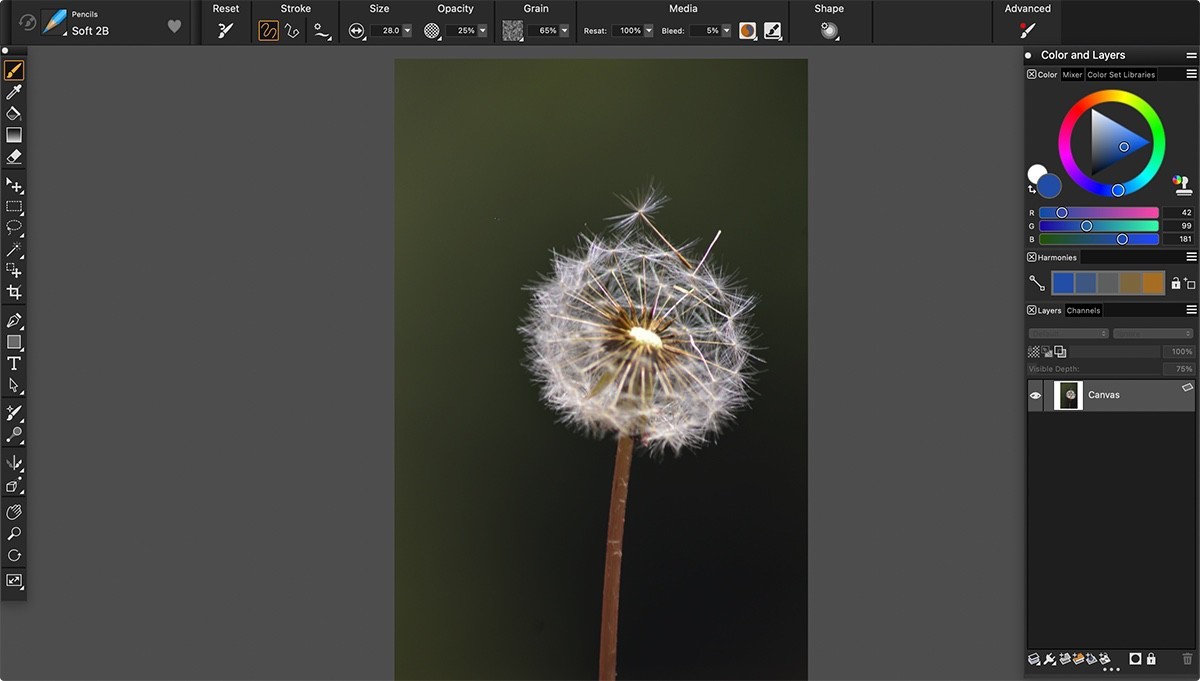 Corel Painter for Mac v2022 22.1.121 美术绘图设计-下载否