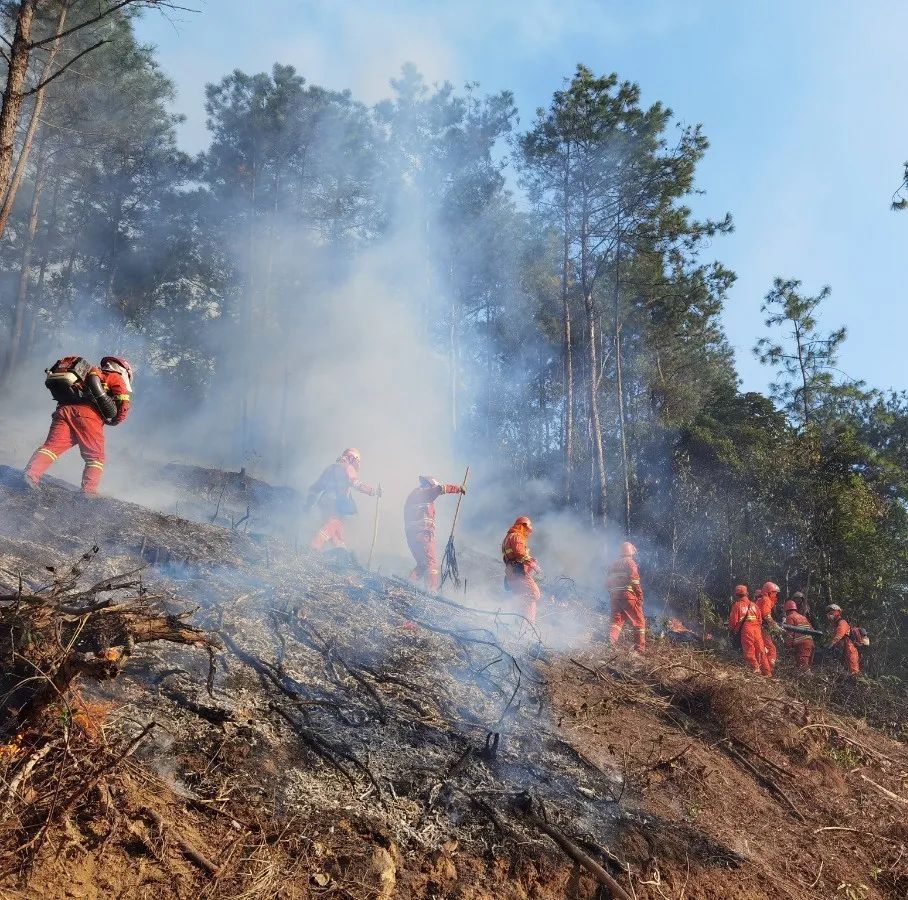 兴宁区政府|火光冲天！500亩森林失火，200多名指战员紧急出动