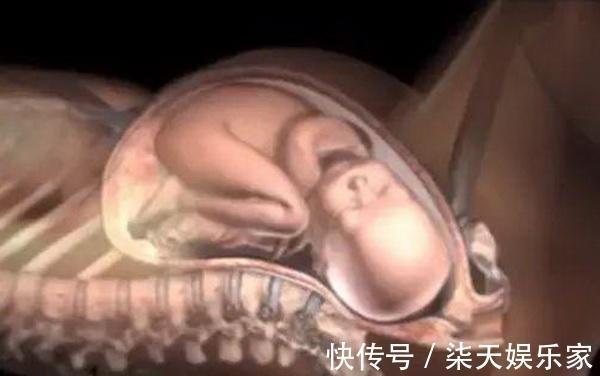 产妇|胎儿出生前都在忙什么组图播放全过程,着急见爸妈的样子真可爱